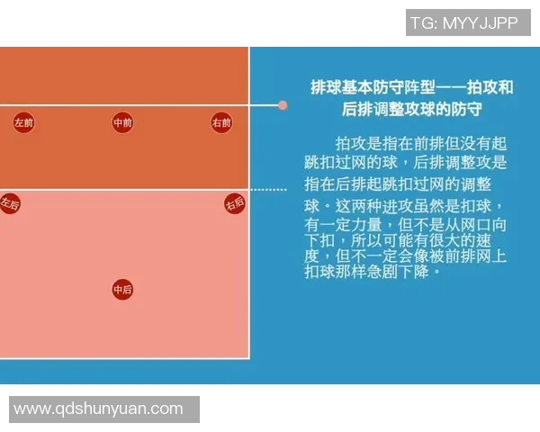 上海排球队进攻战术解析与球队表现的深度剖析 上海排球队进攻战术解析与球队表现的深度剖析